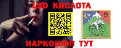 spice Обнинск