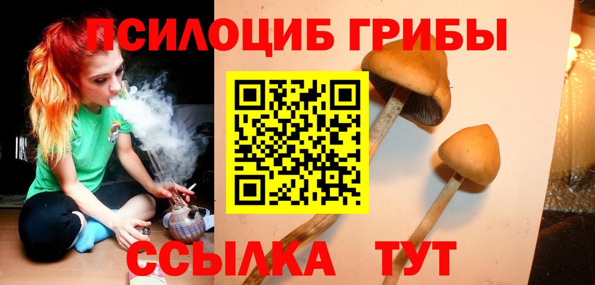 Галлюциногенные грибы Magic Shrooms Тара